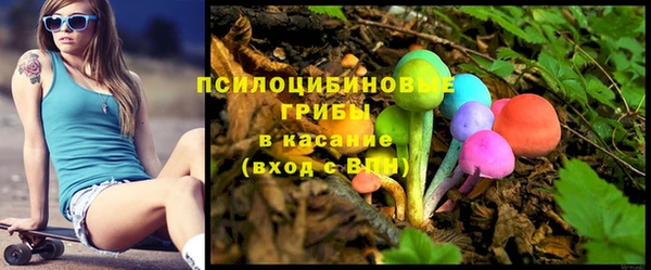 Альфа ПВП Алзамай