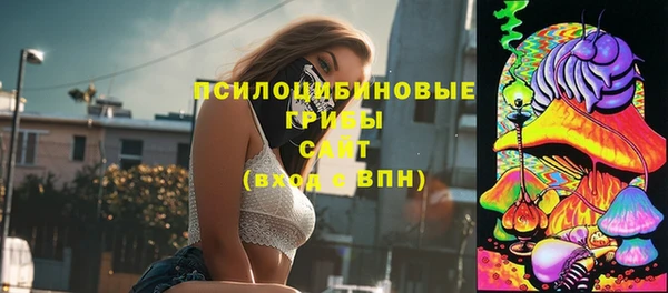 Альфа ПВП Алзамай