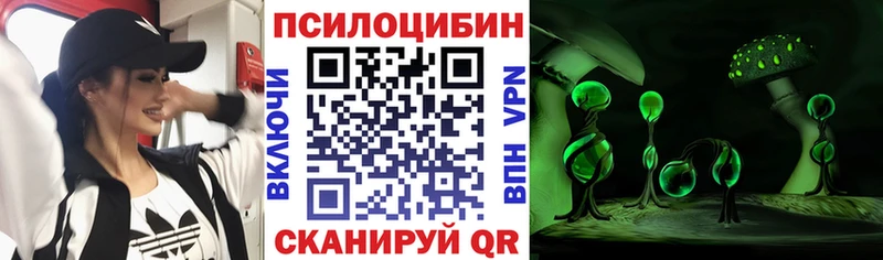 наркошоп  Дубовка  Галлюциногенные грибы ЛСД 